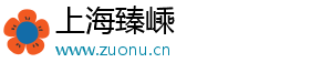 武汉留学生选聘生政策调整（武汉留学生招聘）-上海臻嵊